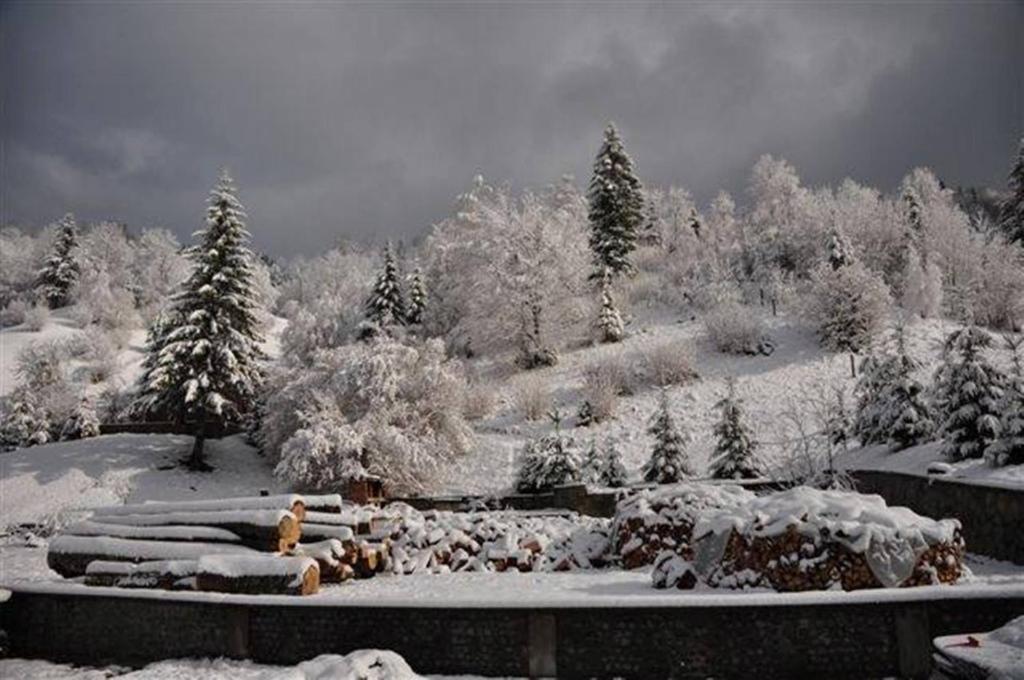 Pensiunea Aurora Izvorul Muntelui บีคาซ ภายนอก รูปภาพ