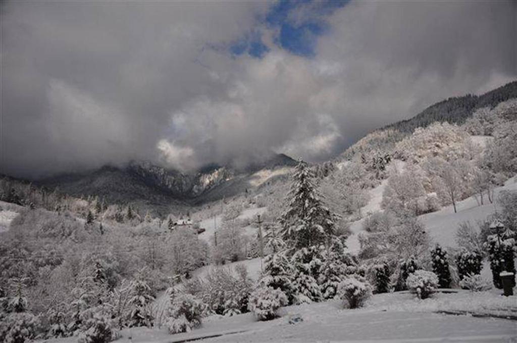 Pensiunea Aurora Izvorul Muntelui บีคาซ ภายนอก รูปภาพ