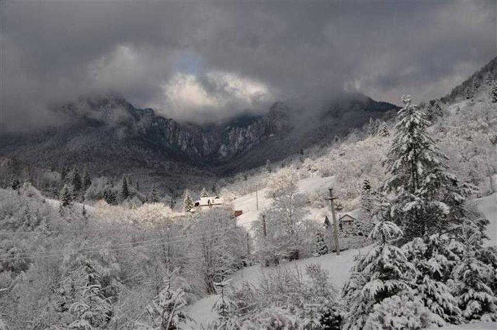 Pensiunea Aurora Izvorul Muntelui บีคาซ ภายนอก รูปภาพ