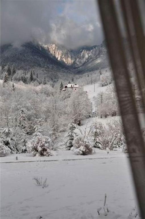 Pensiunea Aurora Izvorul Muntelui บีคาซ ภายนอก รูปภาพ